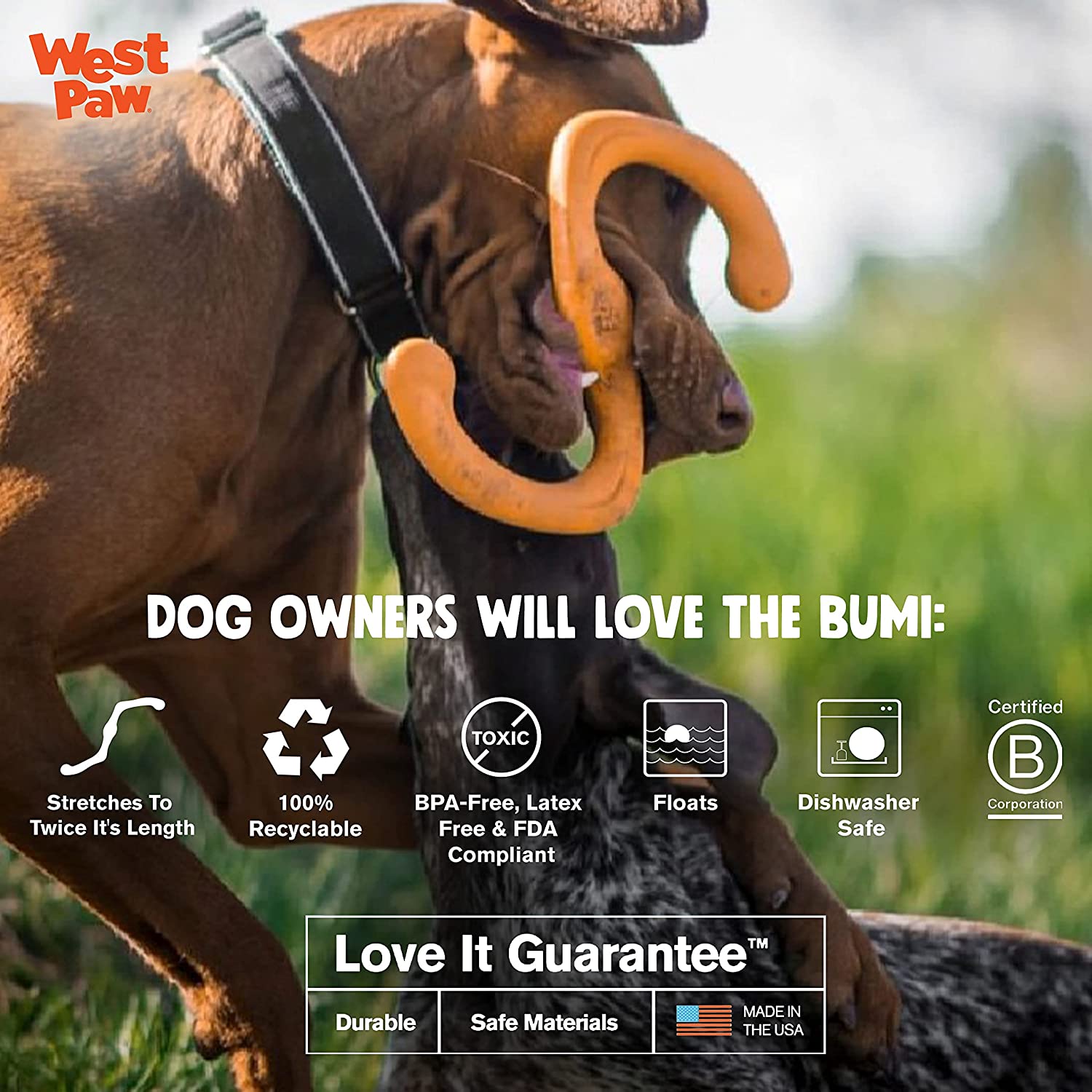 West Paw Zogoflex Bumi