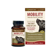 Load image into Gallery viewer, Wapiti for Dogs - Elk Velvet Mobility Supplements