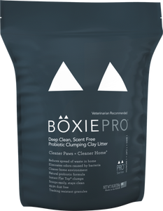 BoxieCat Litter