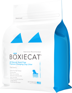 BoxieCat Litter