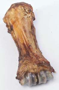 Boulder Dog Beef Shank Bones