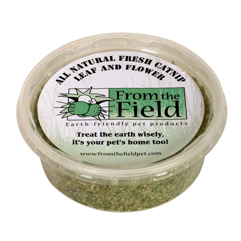From the Field Catnip