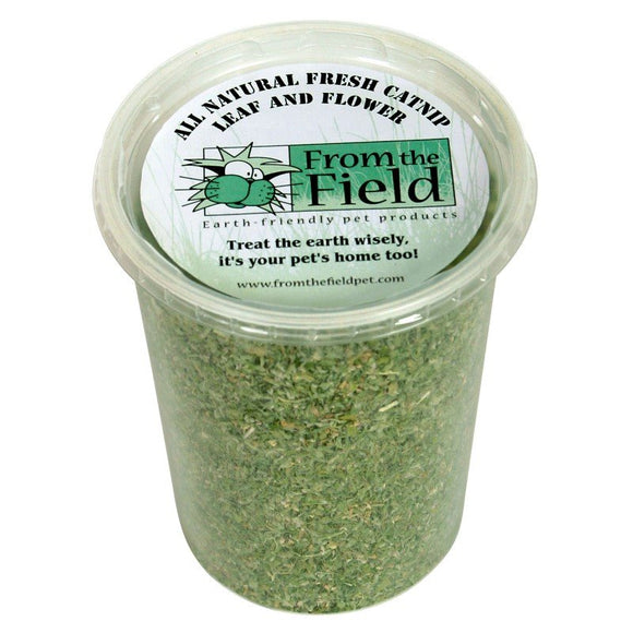 From the Field Catnip