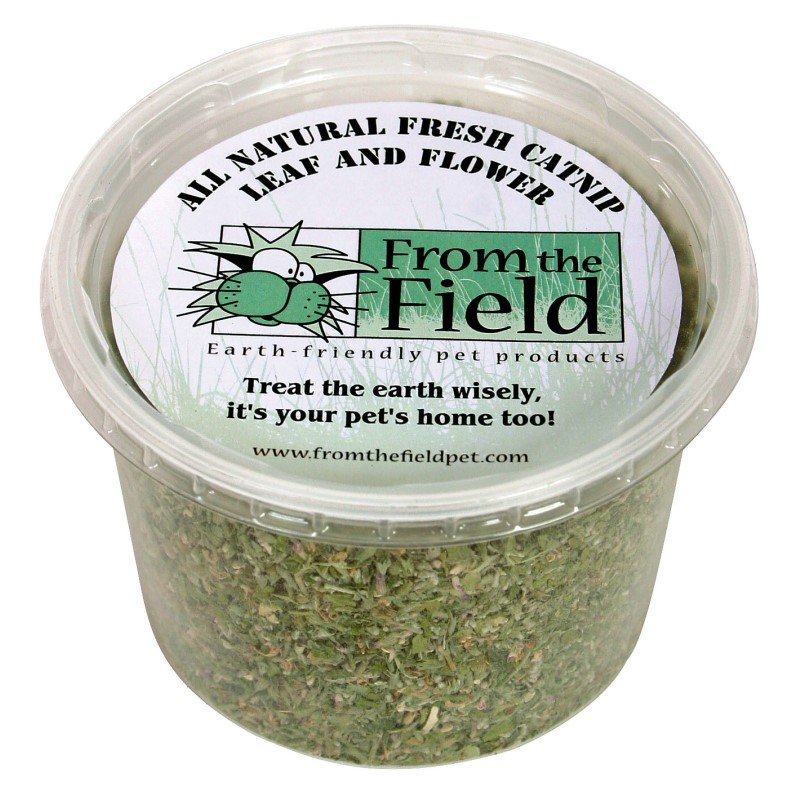 From the Field Catnip