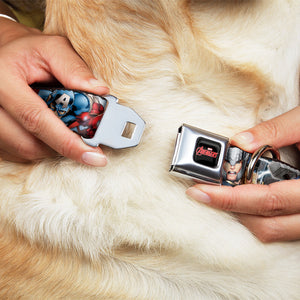 Buckle Down Superheroes and Comics Dog Collars