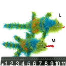 OoMaLoo Handmade Turkish Squeaky Toys-61