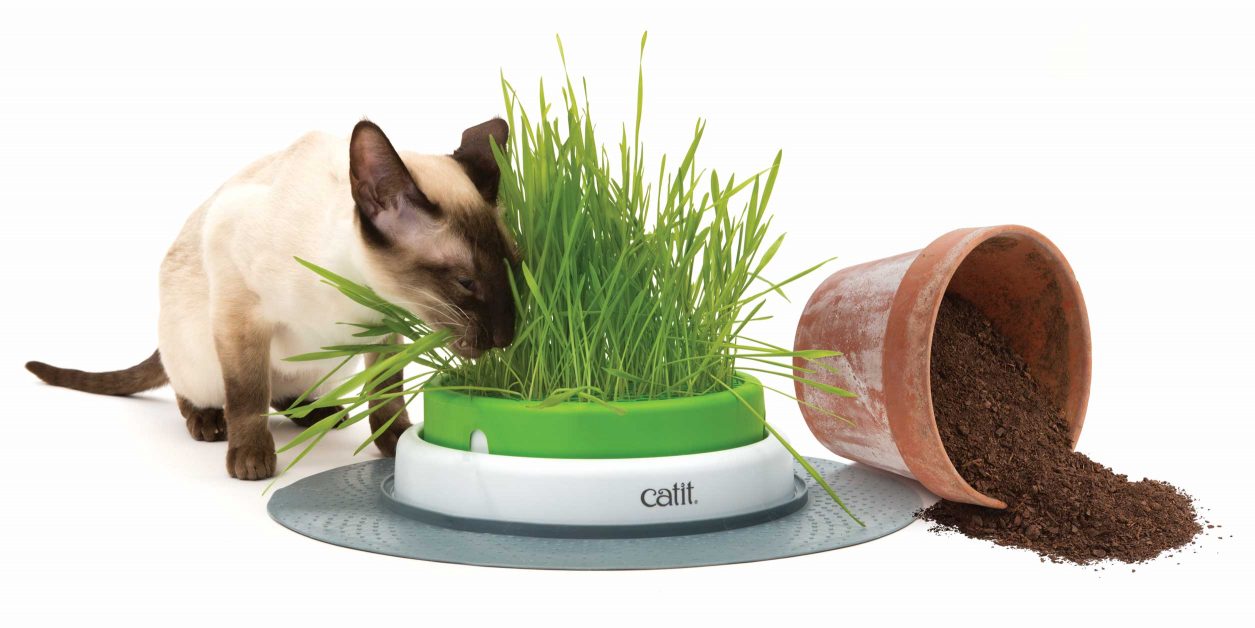 Catit Senses Planter