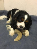 Icelandic Lamb Horn with Marrow Small-4