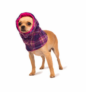 Gold Paw Snood - 0