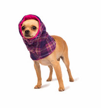 Load image into Gallery viewer, Gold Paw Snood