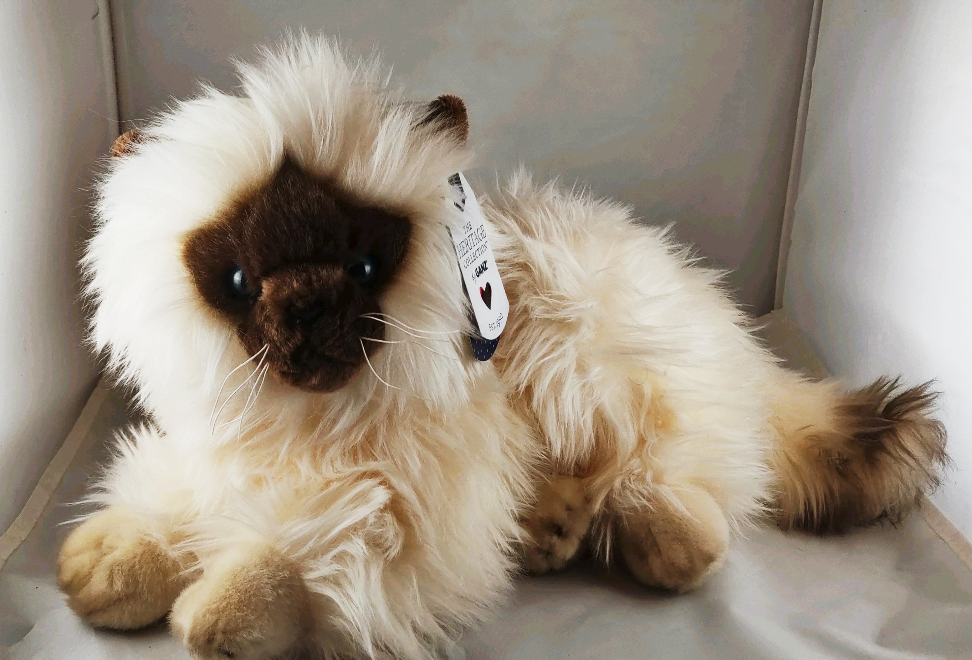 Ganz stuffed outlet cat