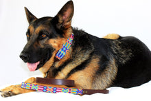 Load image into Gallery viewer, Heka Pet Collar