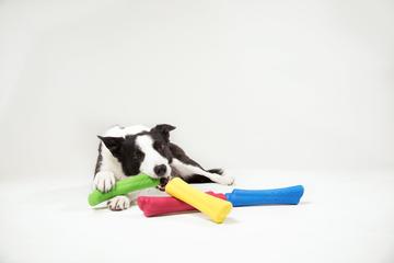 WO Play Toys