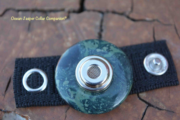 Daisy Paw - Essential Oil Collar Companions