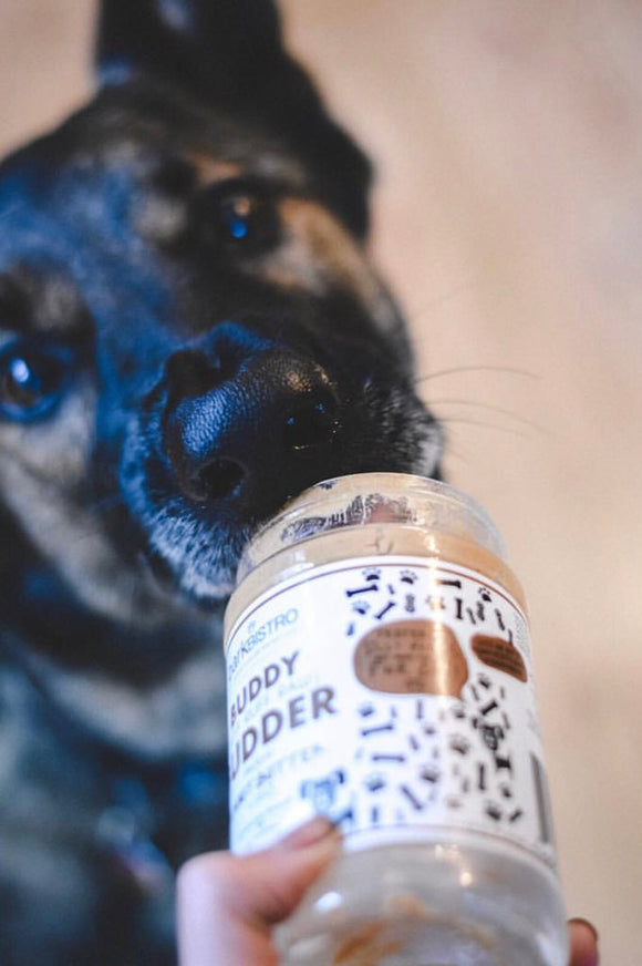 Buddy Budder Peanut Butter 17oz