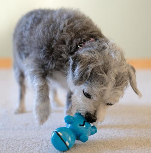 Cycle Dog Stuffable Toy