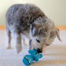 Cycle Dog Stuffable Toy-5