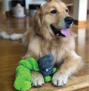 Cycle Dog Toy - Fuzzies, Coil Caterpillar