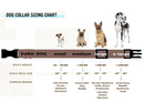 Euro Dog Collar - Waterproof, Quick Release-8