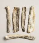 Polkadog 9" Fish Skins-3