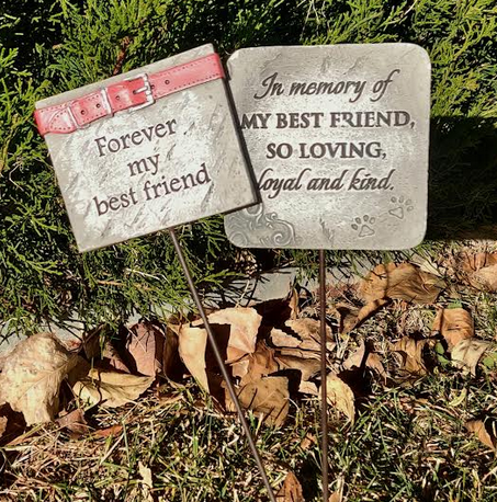 Ganz Memorial Collection