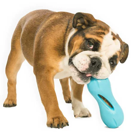 West Paw Zogoflex Qwizl