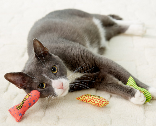 Yeowww! Catnip Toys