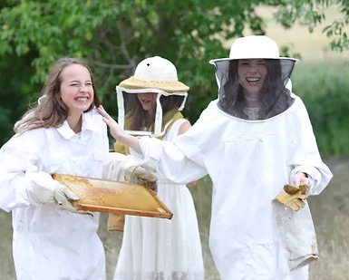 Sweet Bee Sisters - Lotion Bars