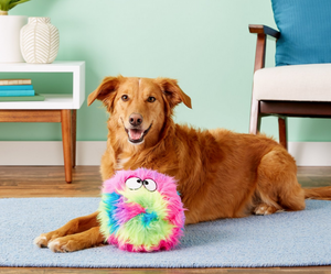 Go Dog Toys