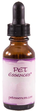 Essences Energetic Elixirs 1 oz.-1