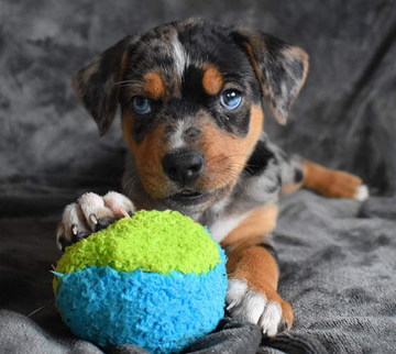 Cycle Dog Toy - Fuzz Balls - 0