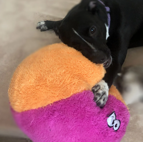 Cycle Dog Toy - Fuzz Balls