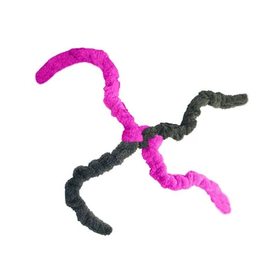 Cycle Dog Toy - Springy Thing