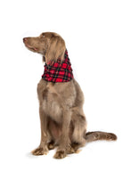 Load image into Gallery viewer, Gold Paw Snood