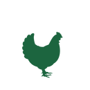 Solutions Raw Diets-4