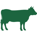 Solutions Raw Diets-3