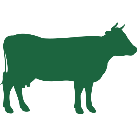 Solutions Raw Diets