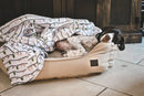 Tall Tails Bolster Beds-1