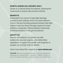 Adored Beast Turkey Tail Mushrooms Tincture-2