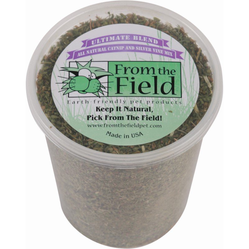 From the Field Catnip