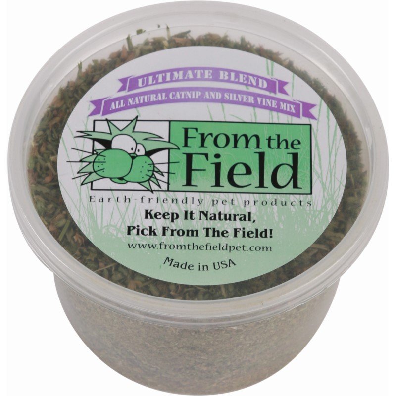 From the Field Catnip