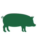 Solutions Raw Diets-2