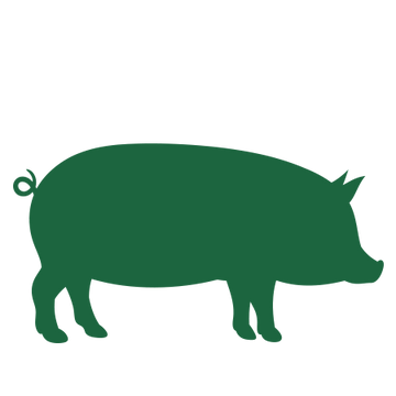 Solutions Raw Diets - 0