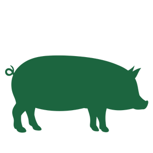 Solutions Raw Diets