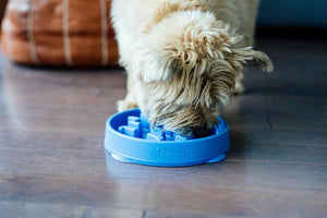 Outward Hound SLO-BOWL