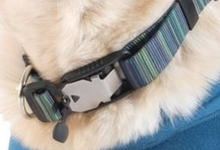 Load image into Gallery viewer, Goldpaw Collar Swift Lock