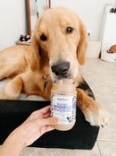 Buddy Budder Peanut Butter 17oz-8