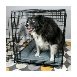 Tall Tails Crate Beds