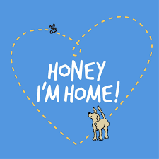 Honey I'm Home Honey-Coated Chews