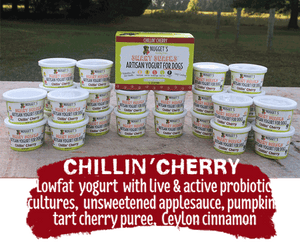 Nugget's Frozen Yogurt Lickable Cups